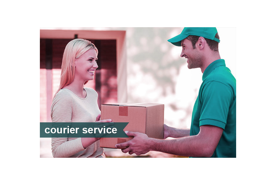 Courier services in south Delhi